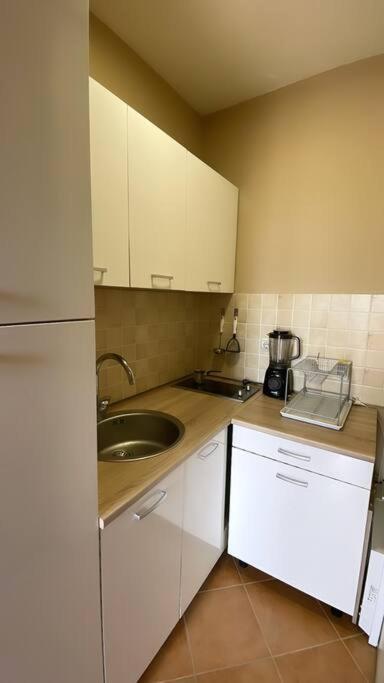 Stunning Lake And Mountain Views - Velkoski Apartments Ohri Dış mekan fotoğraf